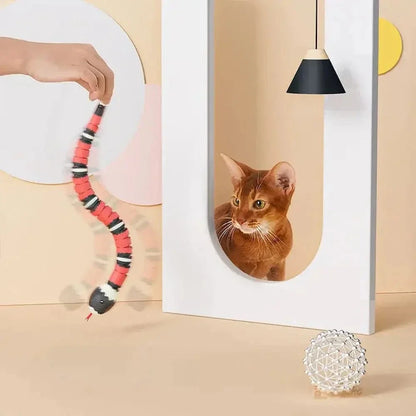 Jouet serpent pour chat