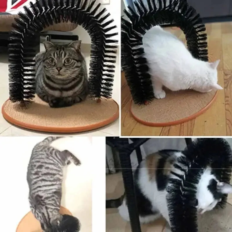 Jouet chat arc auto-grooming