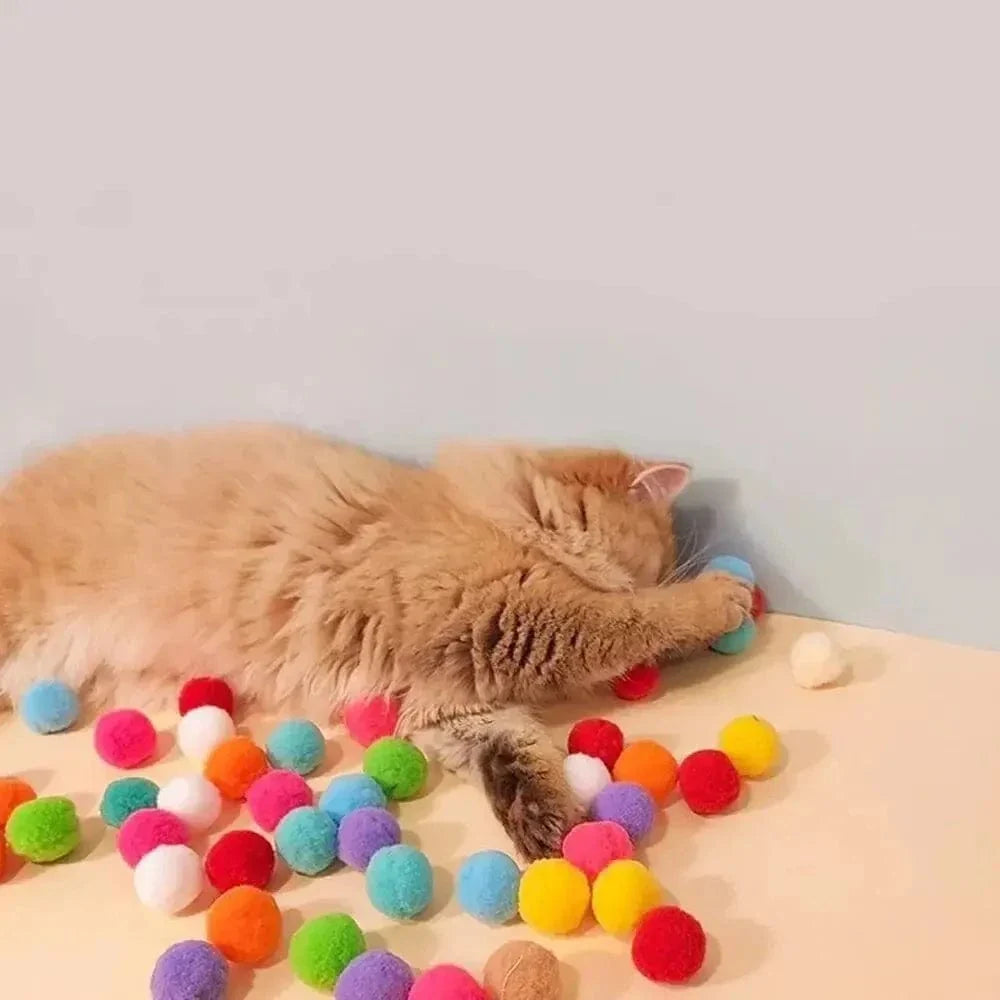 Lanceur de balle chat