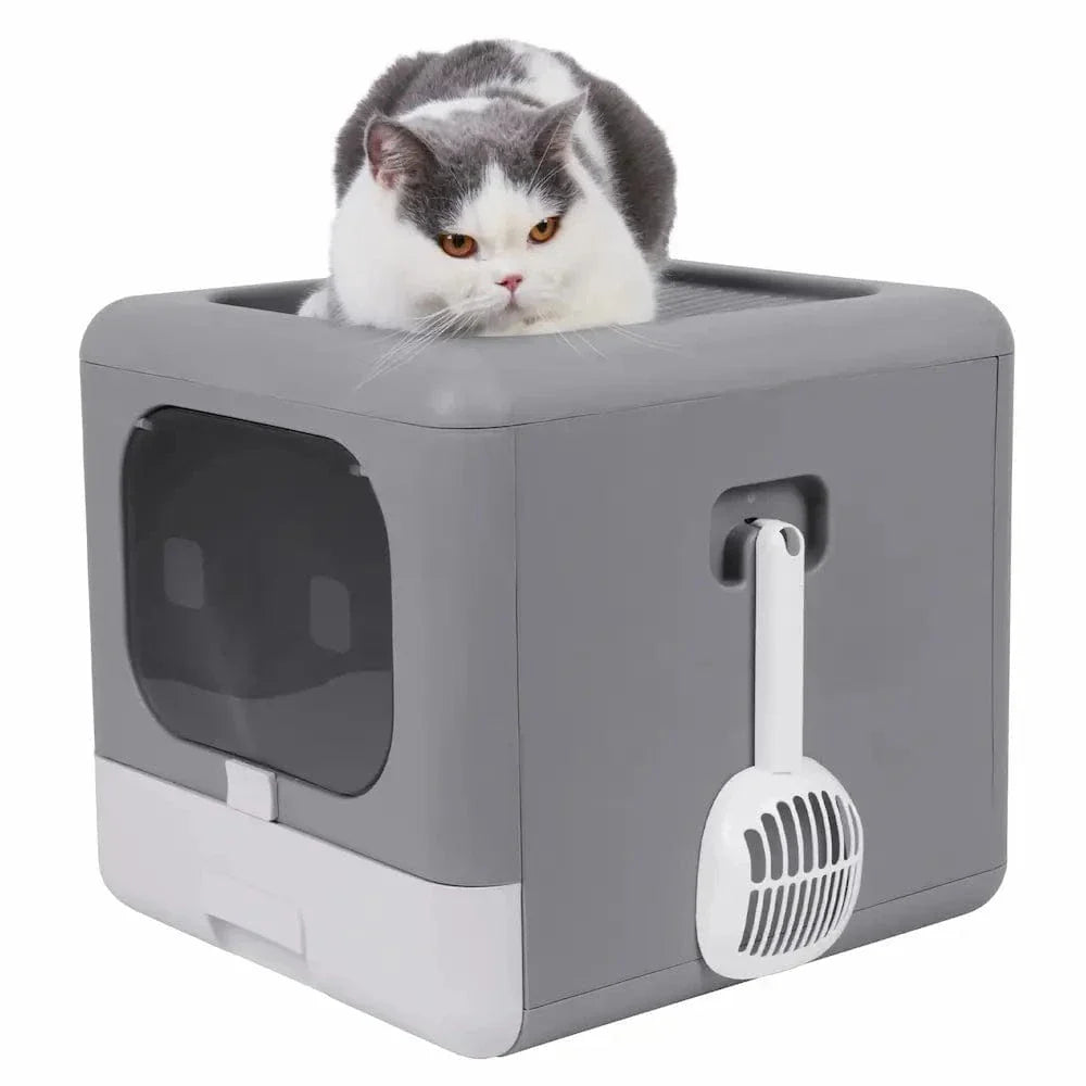 Maison de toilette chat cube