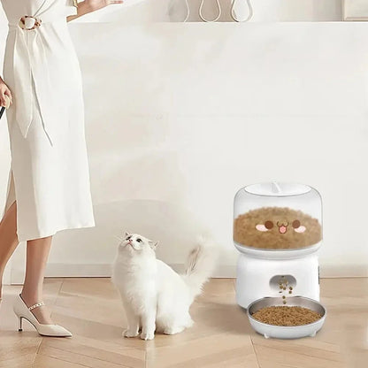 Mangeoire automatique chat