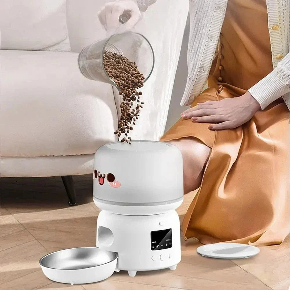 Mangeoire automatique chat
