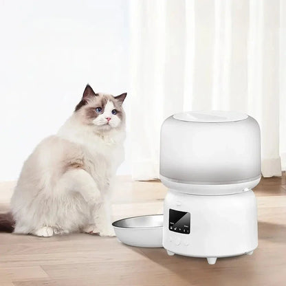 Mangeoire automatique chat