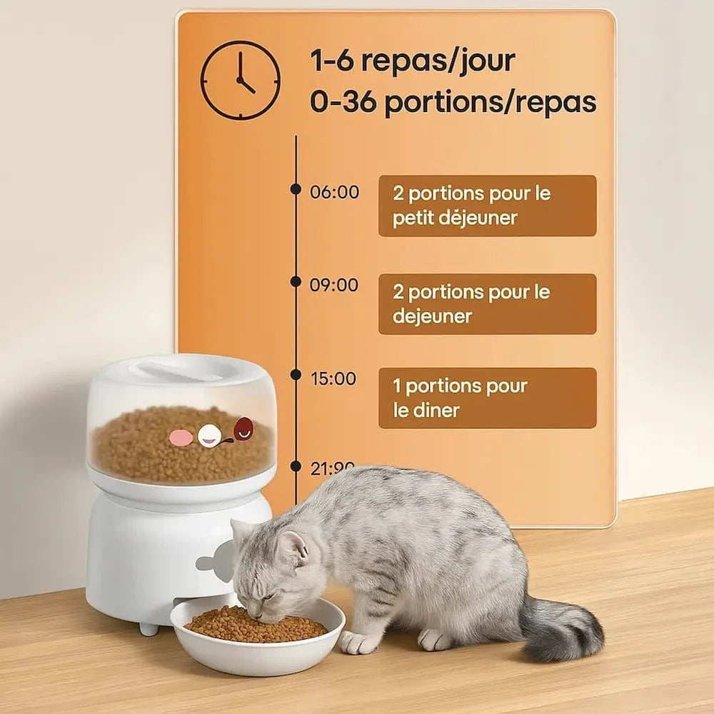 Mangeoire automatique chat