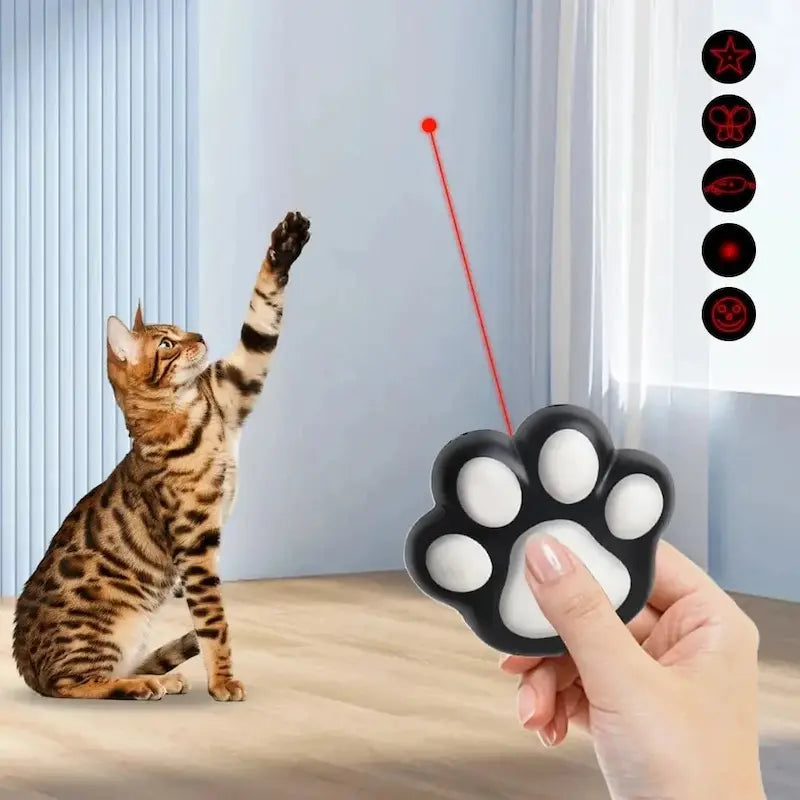 Mini laser chat