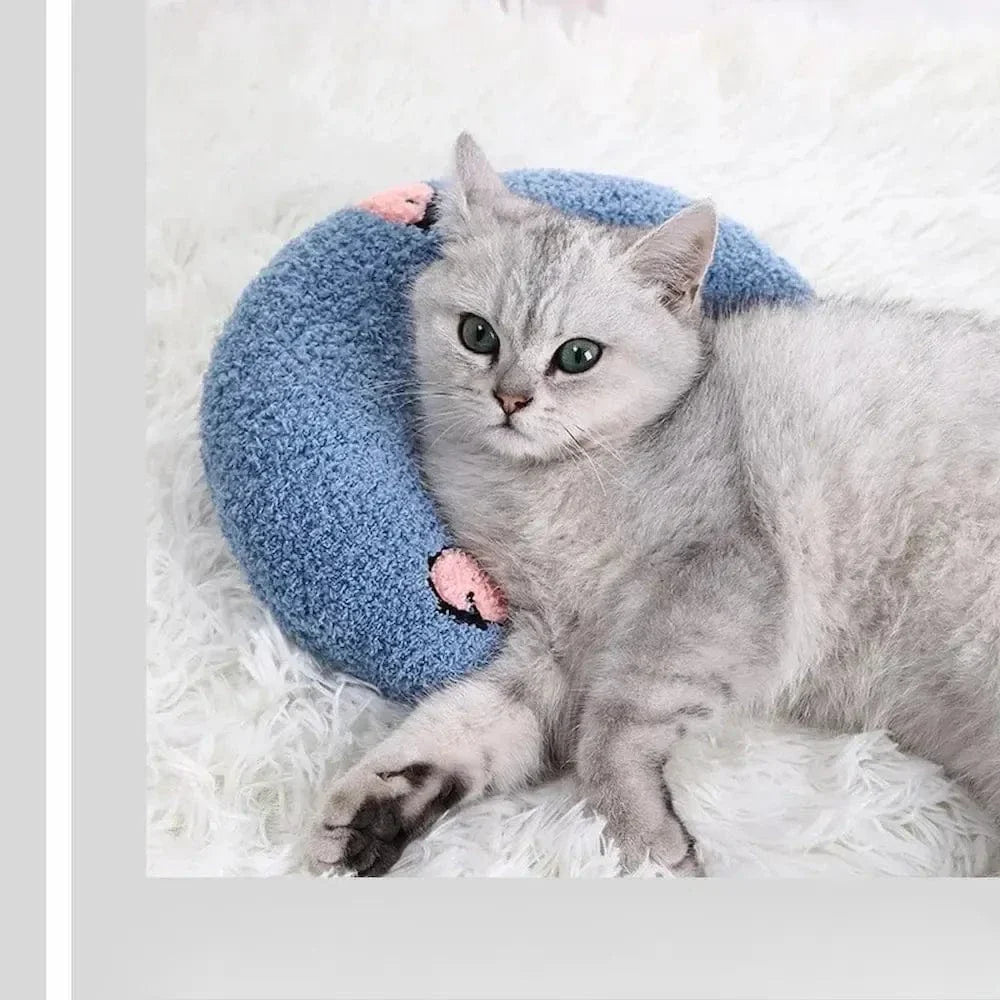 Oreiller pour chat