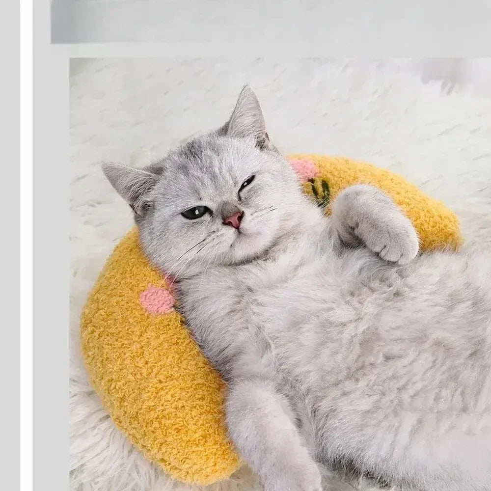 Oreiller pour chat