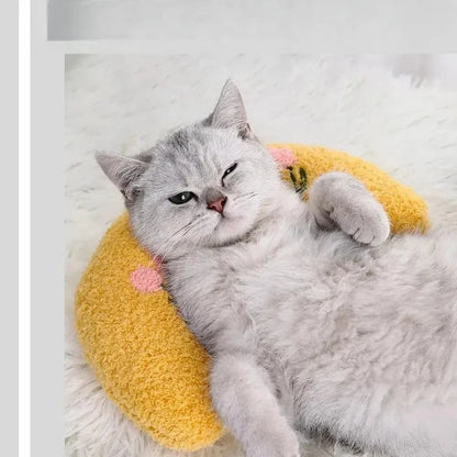 Oreiller pour chat