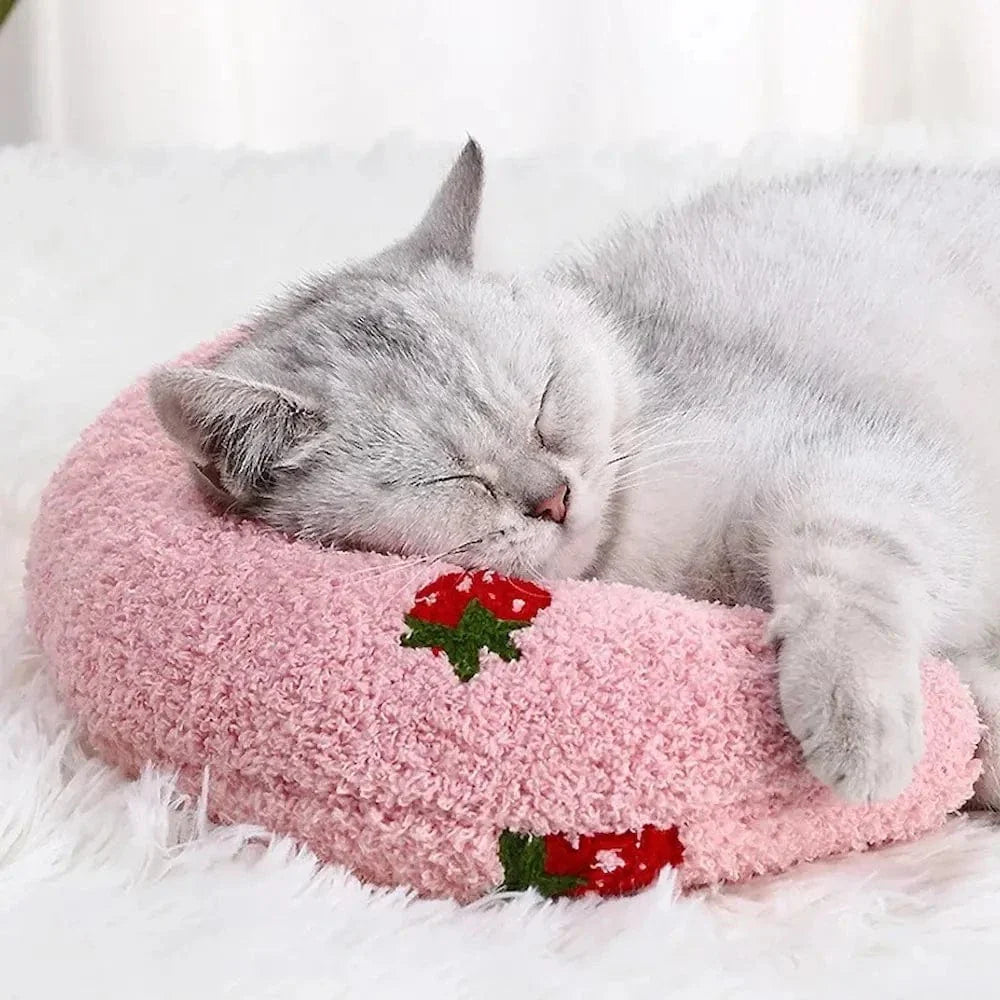 Oreiller pour chat - Confort moelleux | CozyPillow