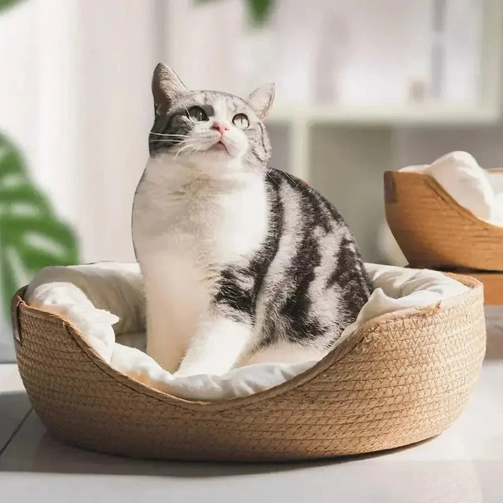 Panier chat bambou naturel