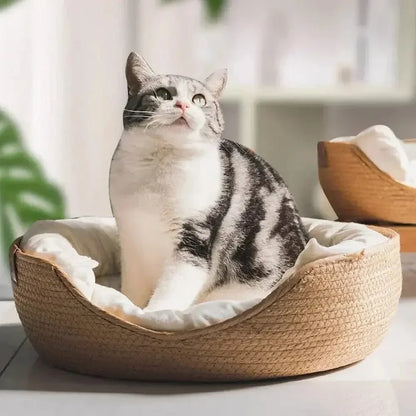 Panier chat bambou naturel