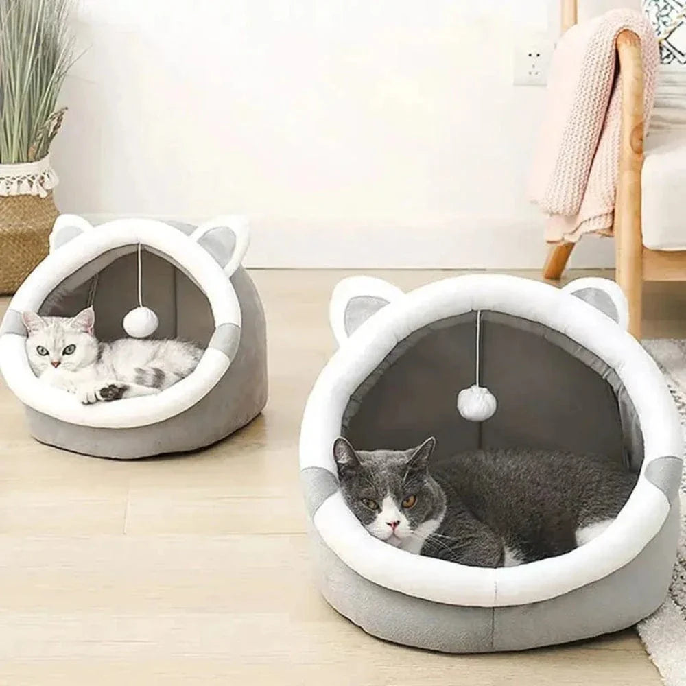 Panier fermé pour chat