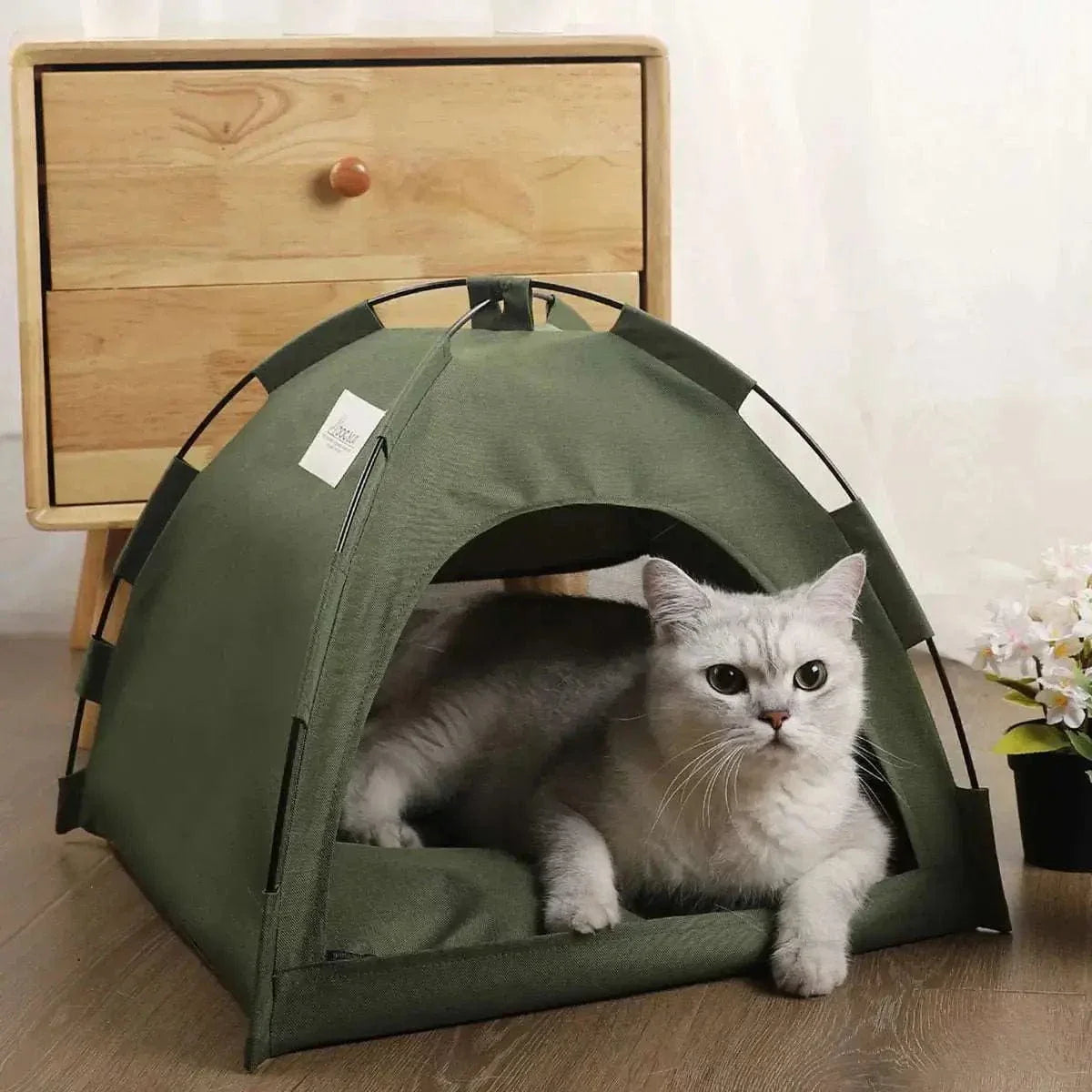 Tente pour chat