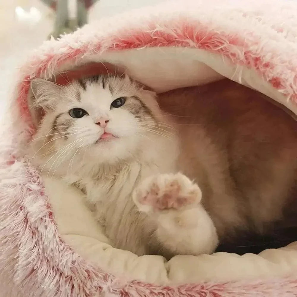 Panier rond pour chat