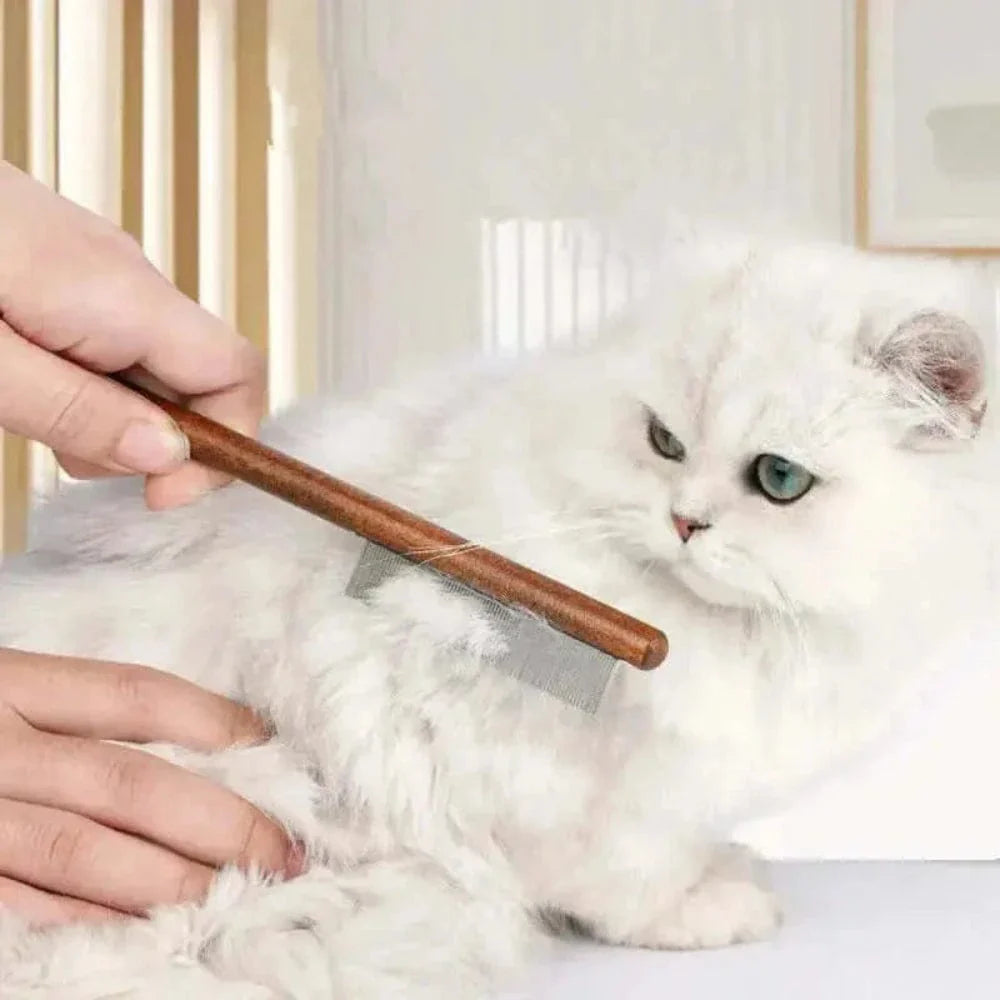 Peigne pour chat