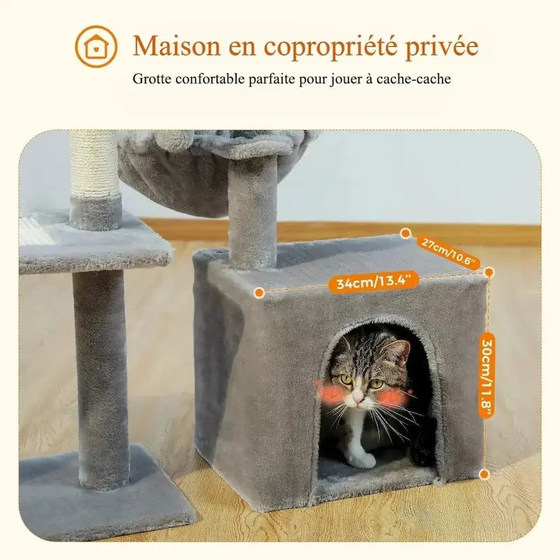 Petit arbre à chat