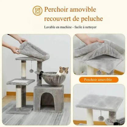 Petit arbre à chat