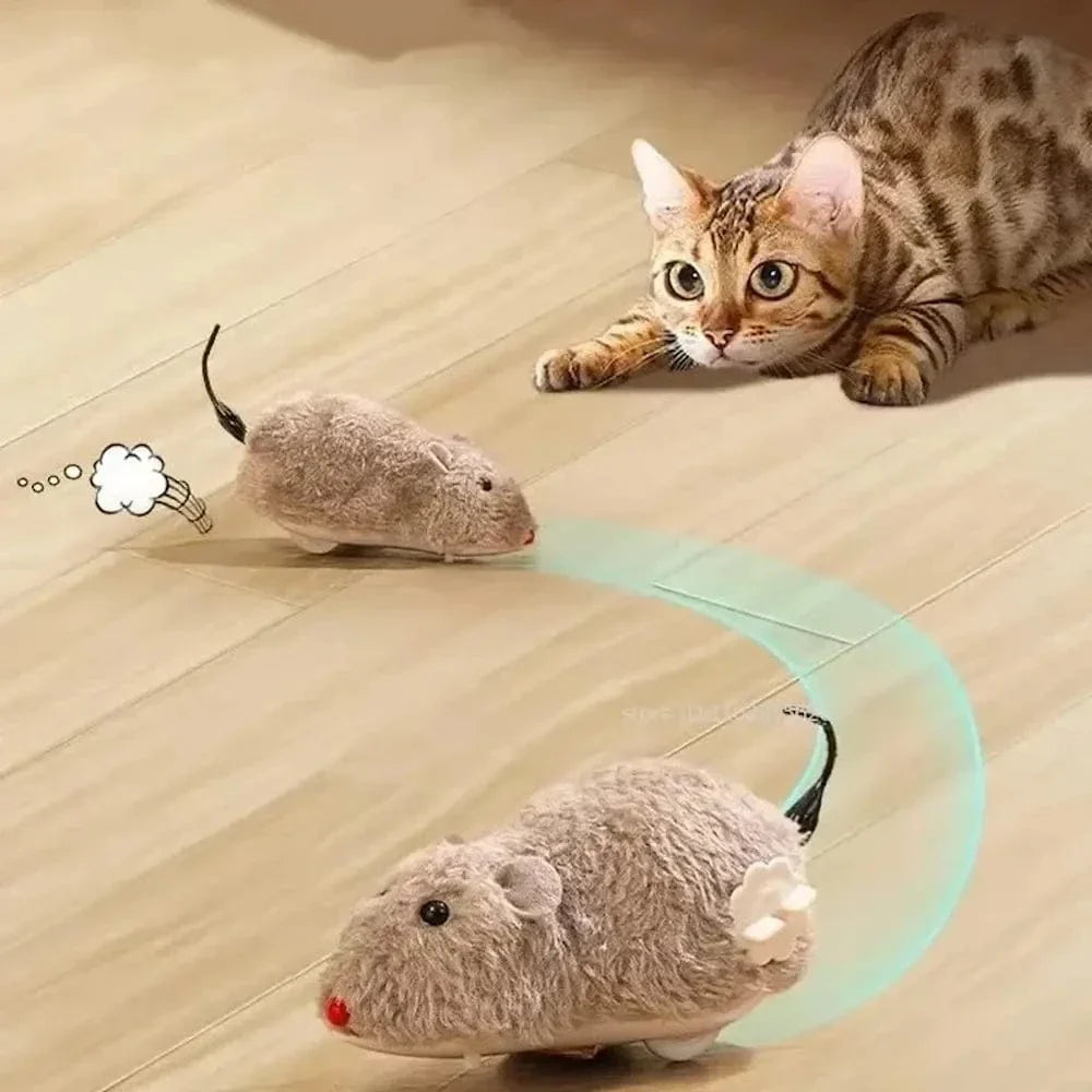 Souris chat interactive