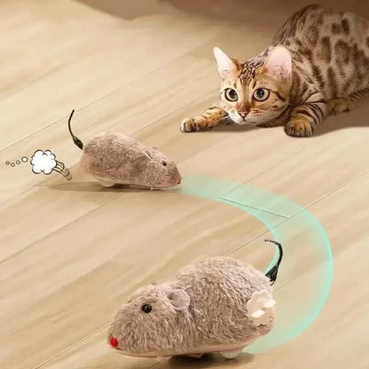 Souris chat interactive