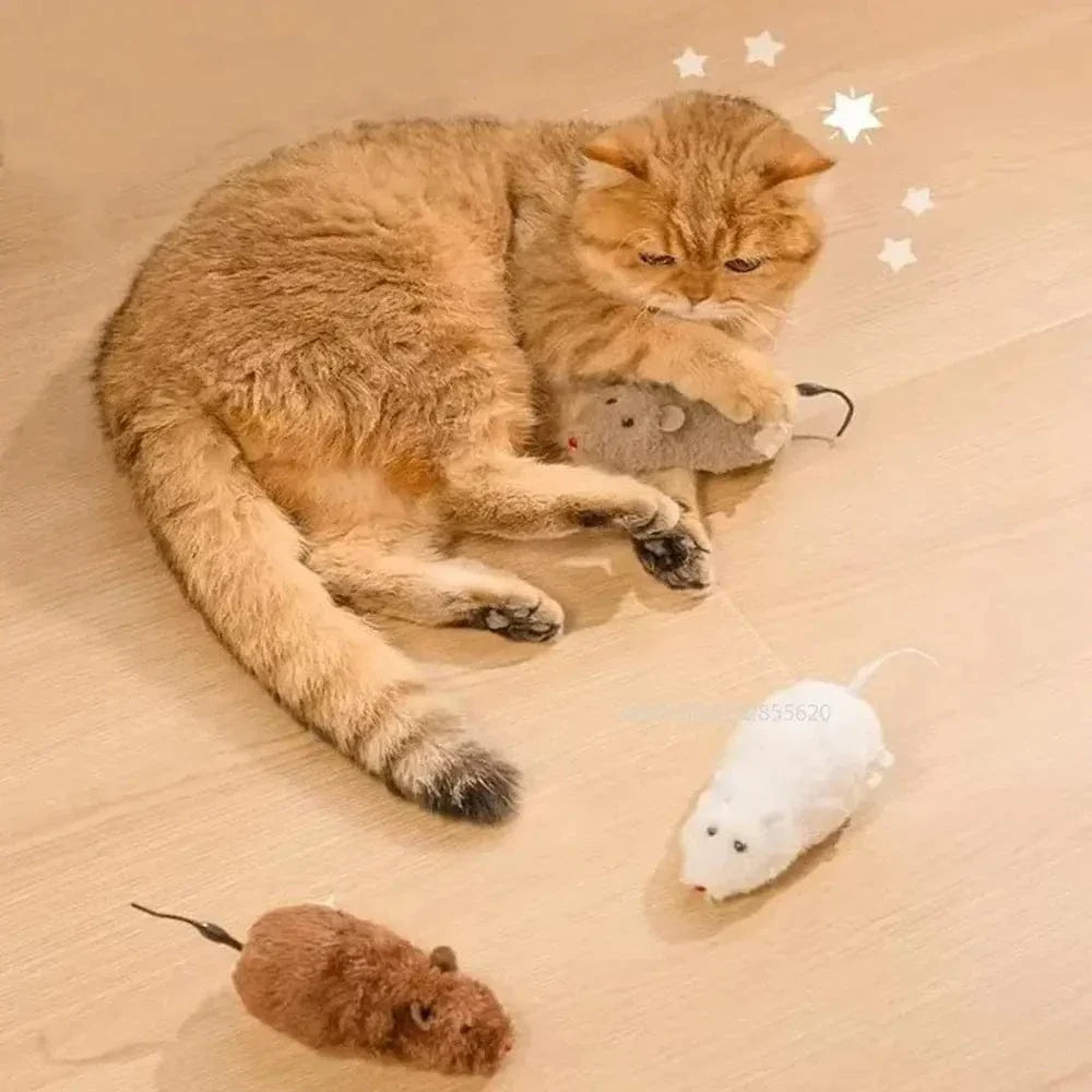 Souris chat interactive