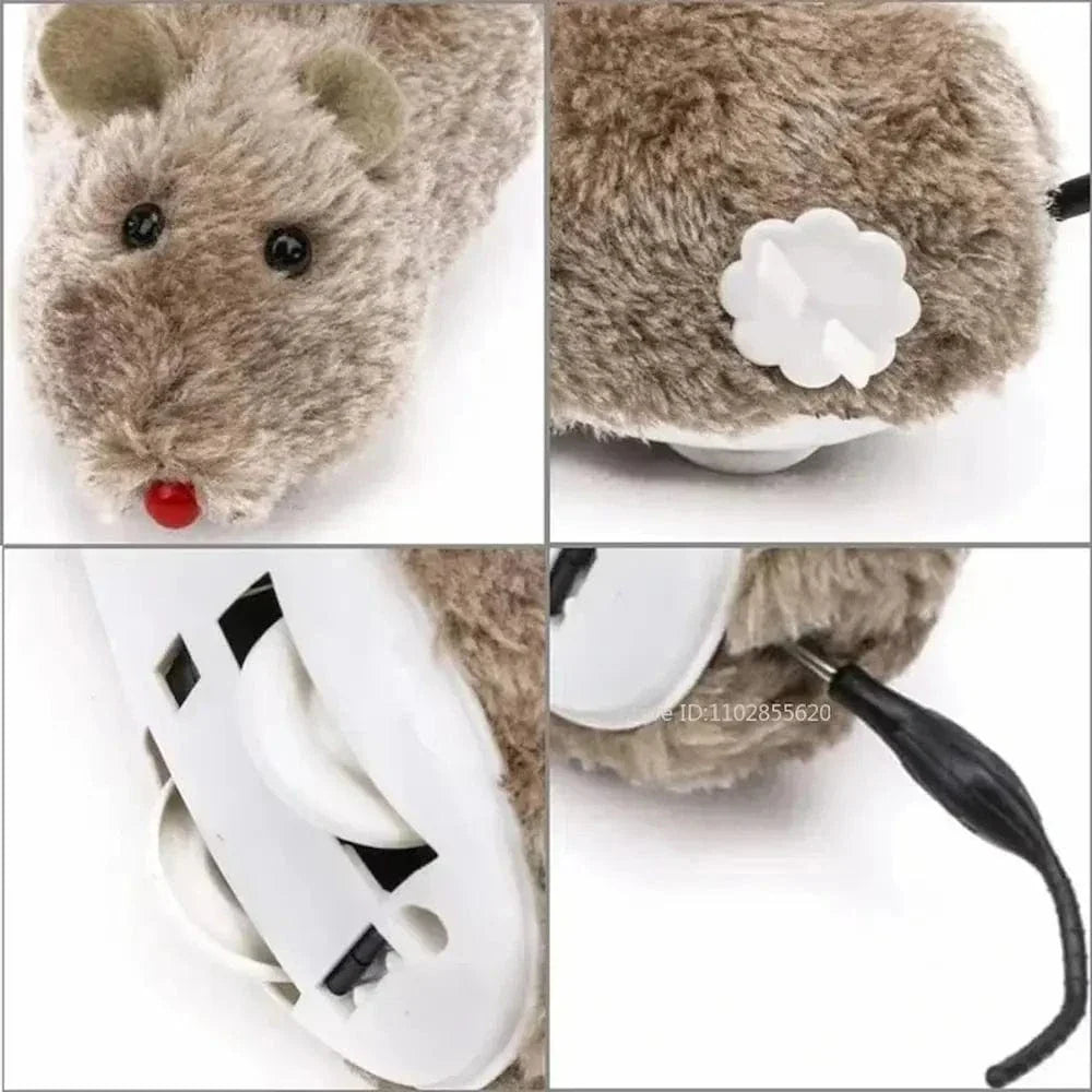 Souris chat interactive