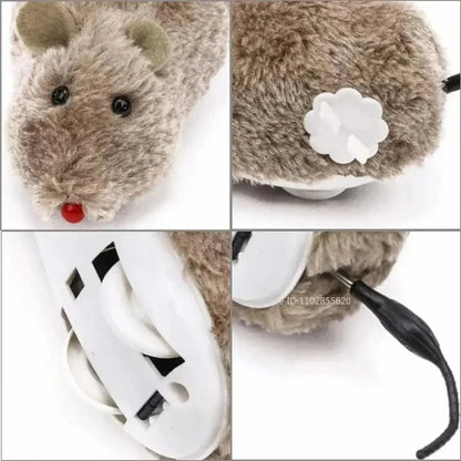 Souris chat interactive