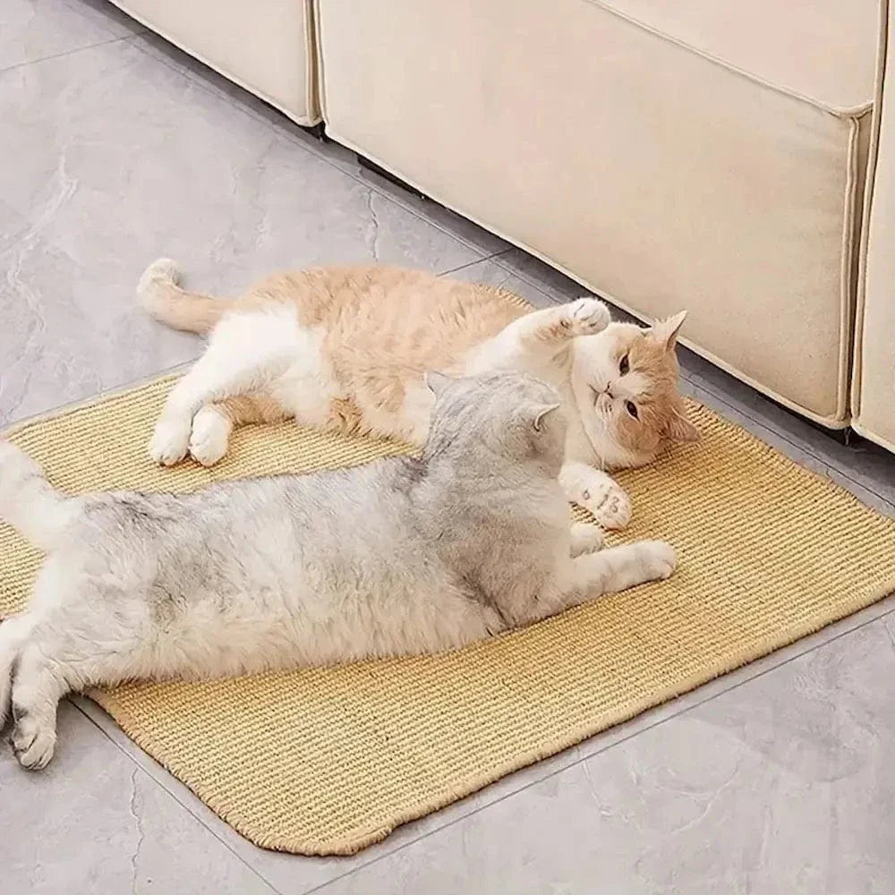 Tapis griffoir chat