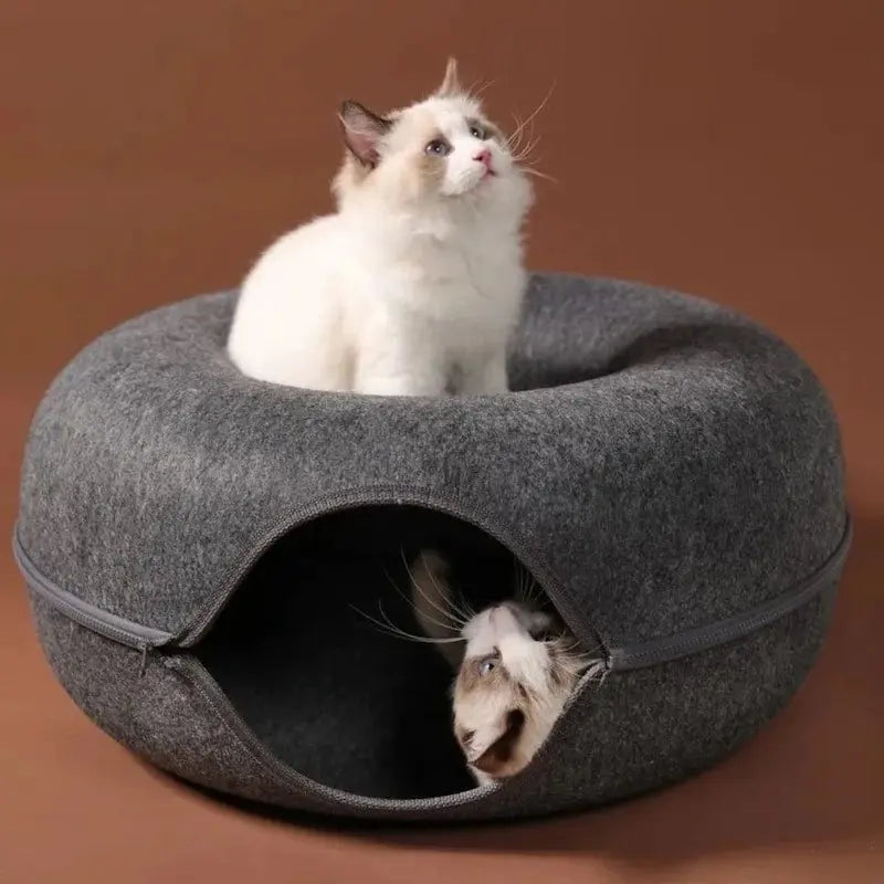 Tunnel donut chat