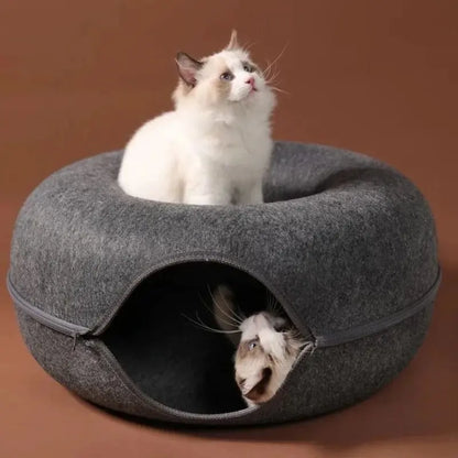 Tunnel donut chat