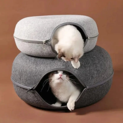 Tunnel donut chat