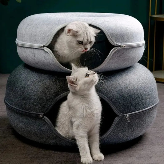 Tunnel donut chat - Cachette fun & anti-ennui | PawsDonut