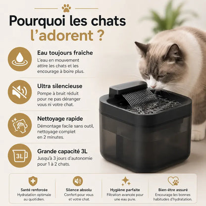 Fontaine eau USB 3L