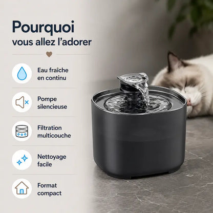 Fontaine à eau chat 2L