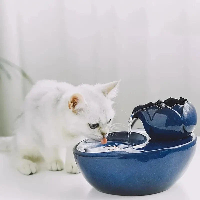 Abreuvoir chat céramique - Hygiène premium | CeramiPurr