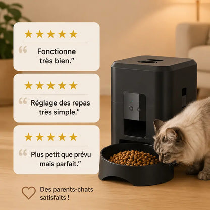 Distributeur programmable de croquettes pour chat