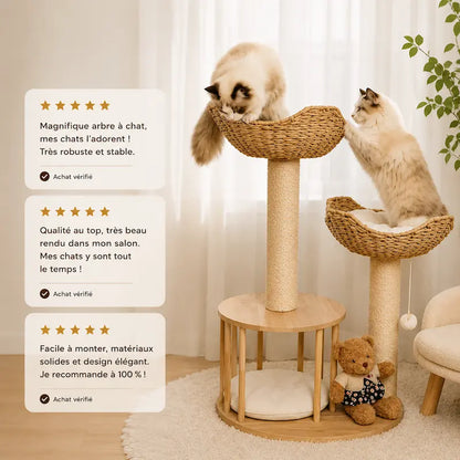 Arbre à chat design luxe