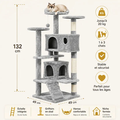 Arbre à chat avec échelle