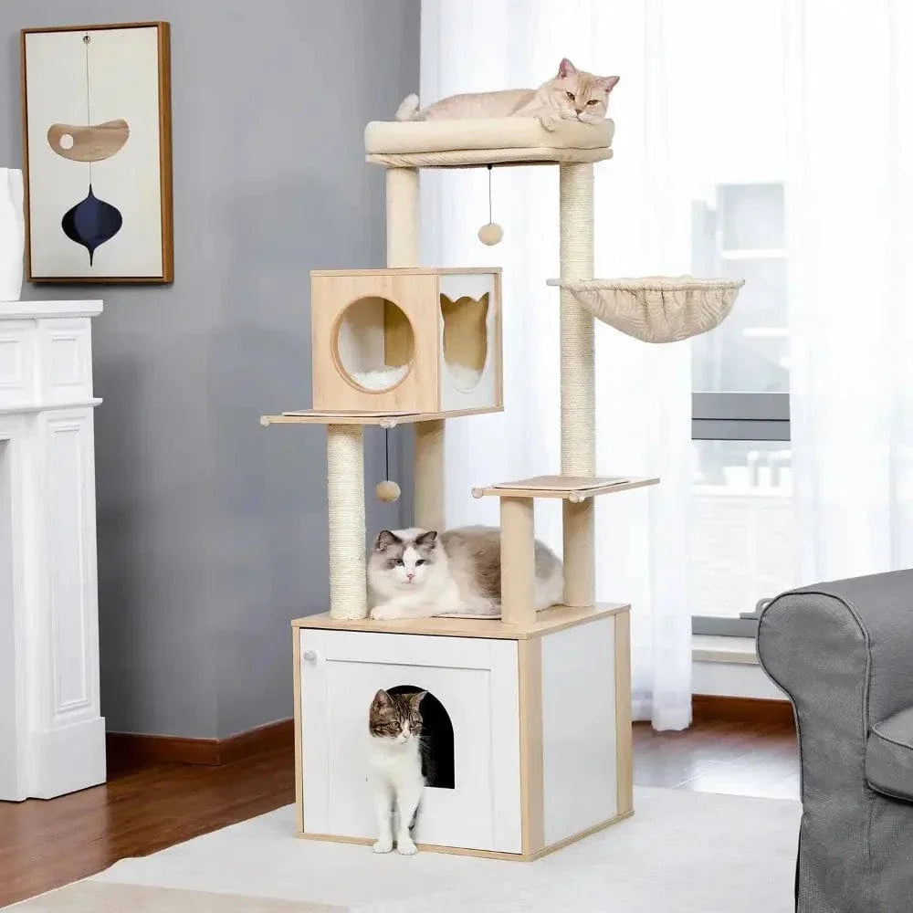 Arbre à chat avec litière
