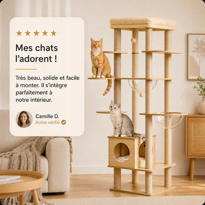 Arbre à chat intérieur bois