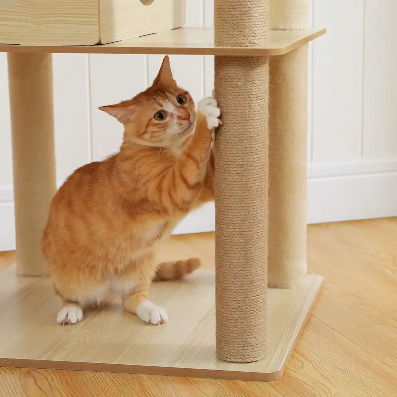 Arbre à chat intérieur bois