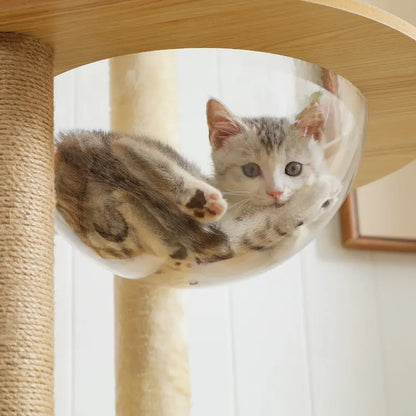 Arbre à chat intérieur bois