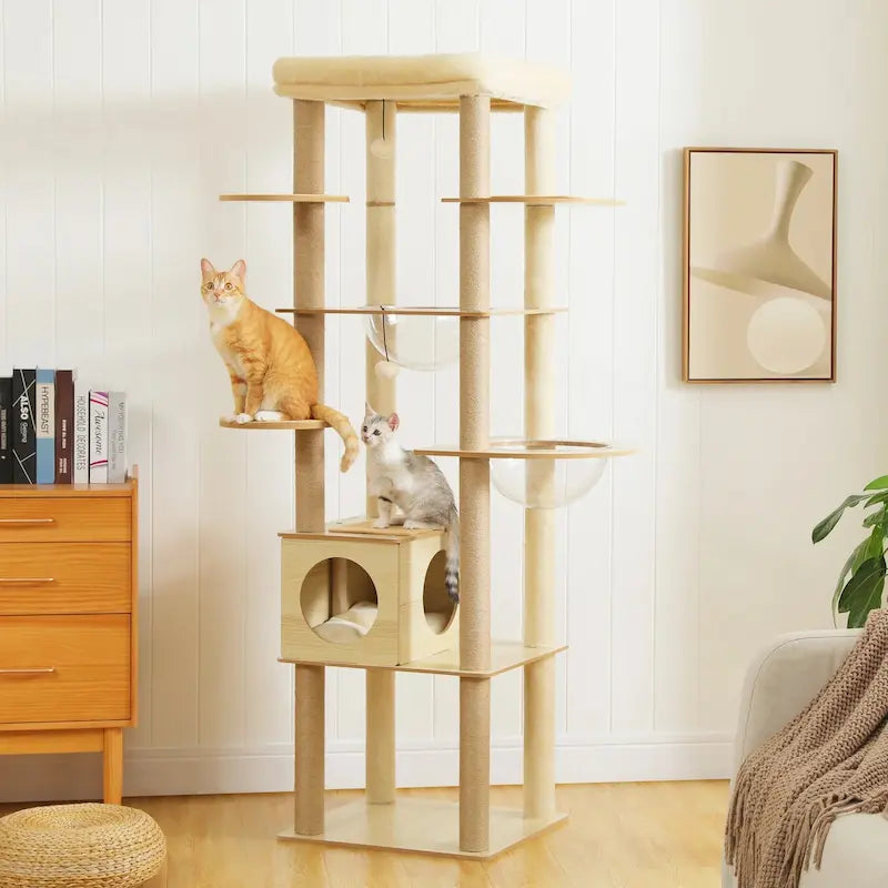 Arbre à chat intérieur bois – Hamac & perchoir | NatureCat