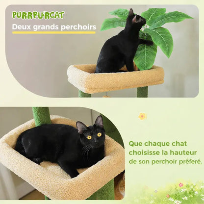 Arbre à chat XXL multi-niveaux