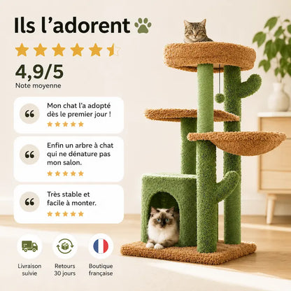 Arbre à chat cactus avec griffoir