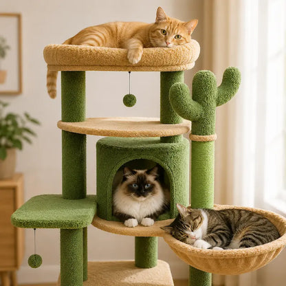 Arbre à chat grande plateforme