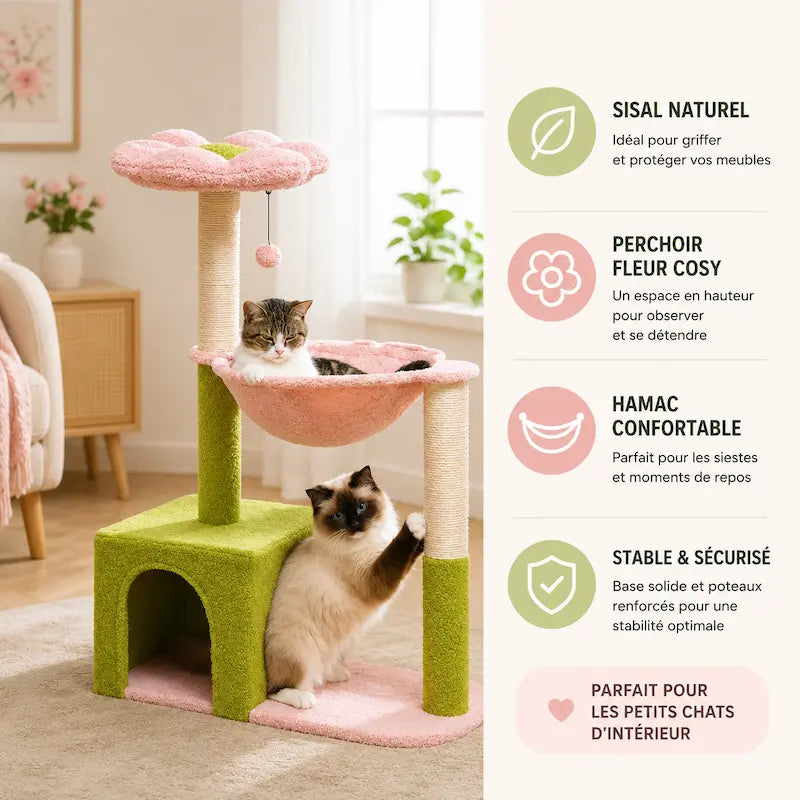 Arbre à chat fleur