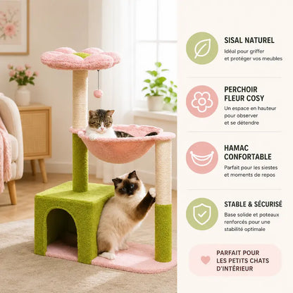 Arbre à chat fleur
