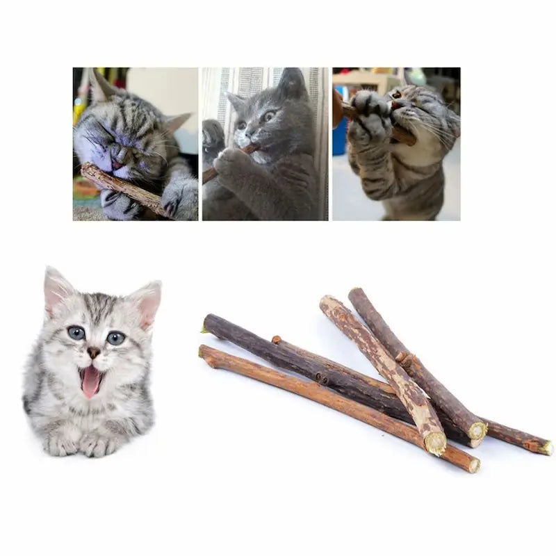 Bâton à mâcher chat