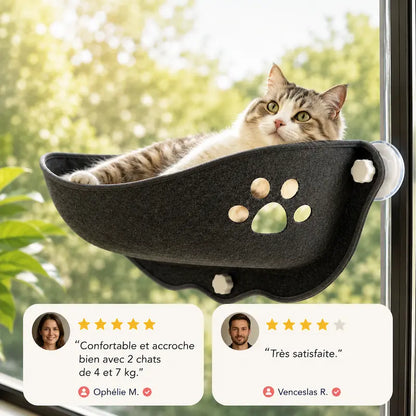 Lit chat fenêtre ventouse