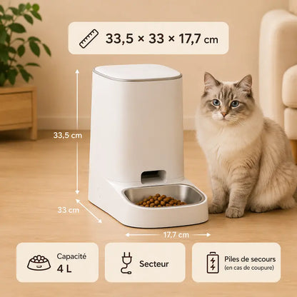 Distributeur automatique croquettes chat